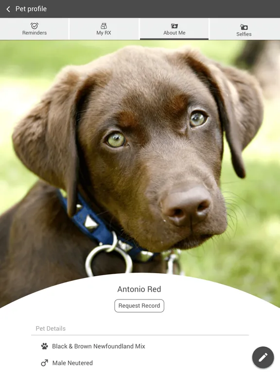 Dykes Veterinary Clinic iPad  স্ক্রিনশট