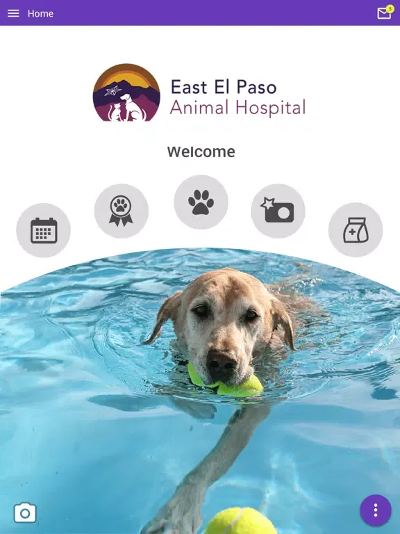 East El Paso Animal Hospital iPad  Screenshots