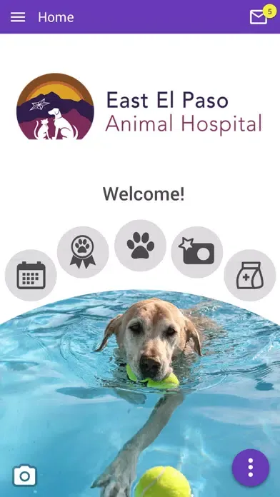 East El Paso Animal Hospital Screenshots