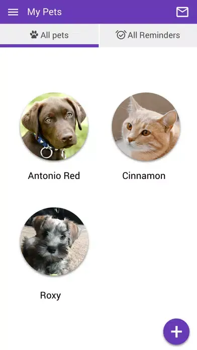 East El Paso Animal Hospital Screenshots