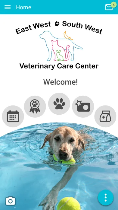 East West South West Vet Care Screenshots