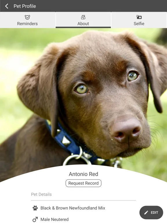 صور Edmond East Animal Hospital iPad 
