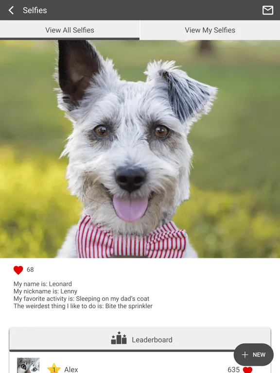صور Edmond East Animal Hospital iPad 