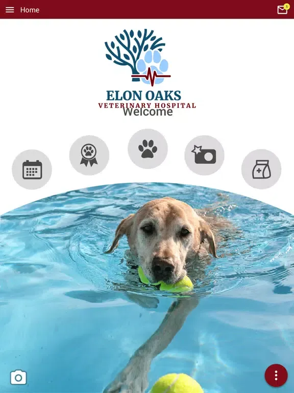 Capturas de pantalla de Elon Oaks Veterinary Hospital iPad 
