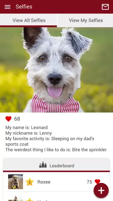 Capturas de pantalla de Elon Oaks Veterinary Hospital