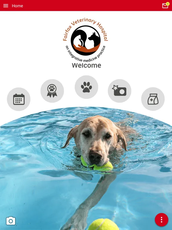 Fairfax Paws Portal iPad  स्क्रीनशॉट