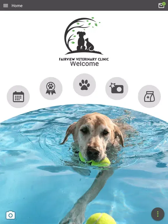 Capturas de tela do Fairview Veterinary Clinic iPad 