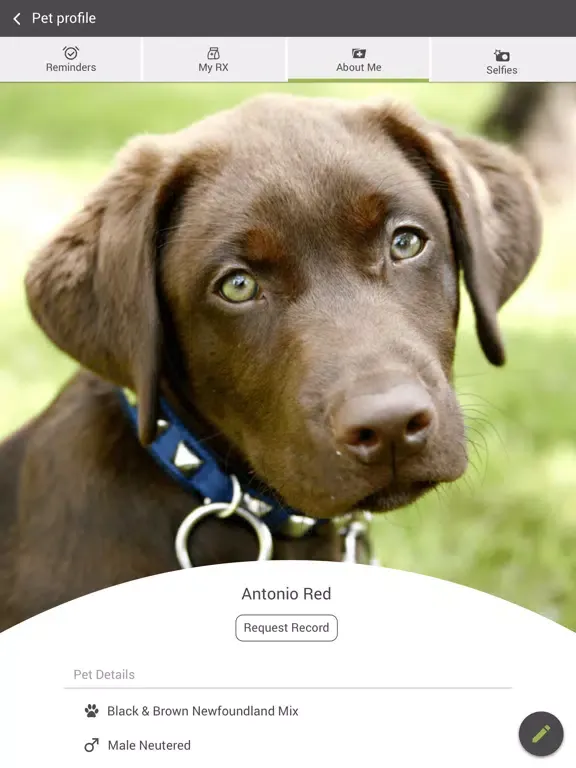 Capturas de tela do Fairview Veterinary Clinic iPad 