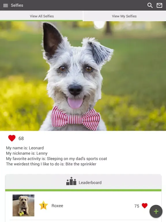 Capturas de tela do Fairview Veterinary Clinic iPad 