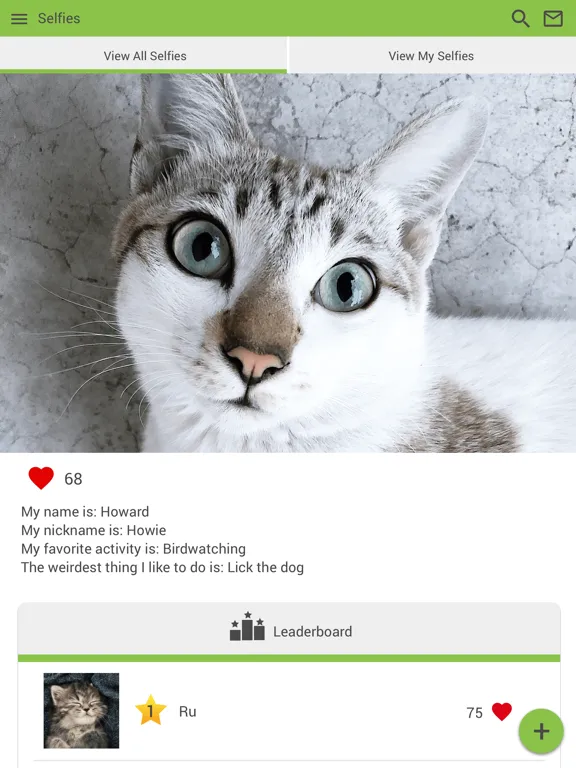 Tangkapan layar Feline Vet Med Center iPad 