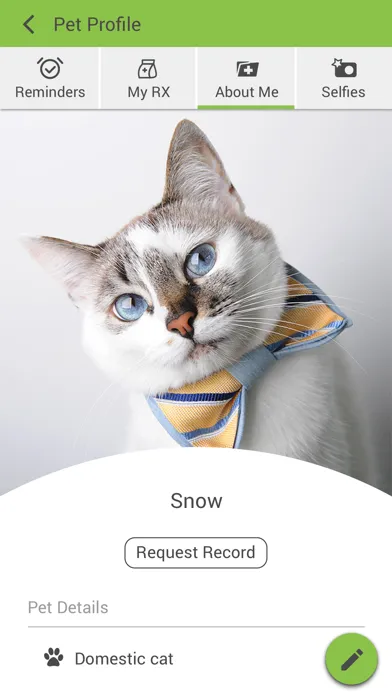 Tangkapan layar Feline Vet Med Center
