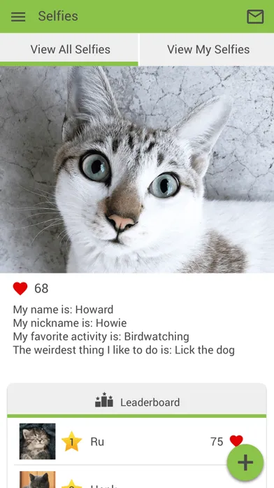 Tangkapan layar Feline Vet Med Center