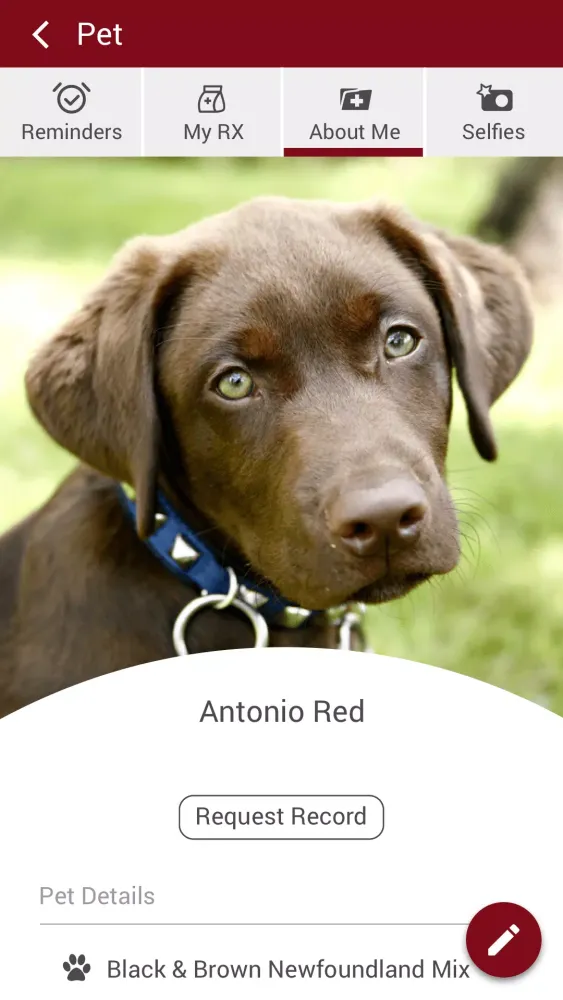 Fischer Vet Clinic Screenshots