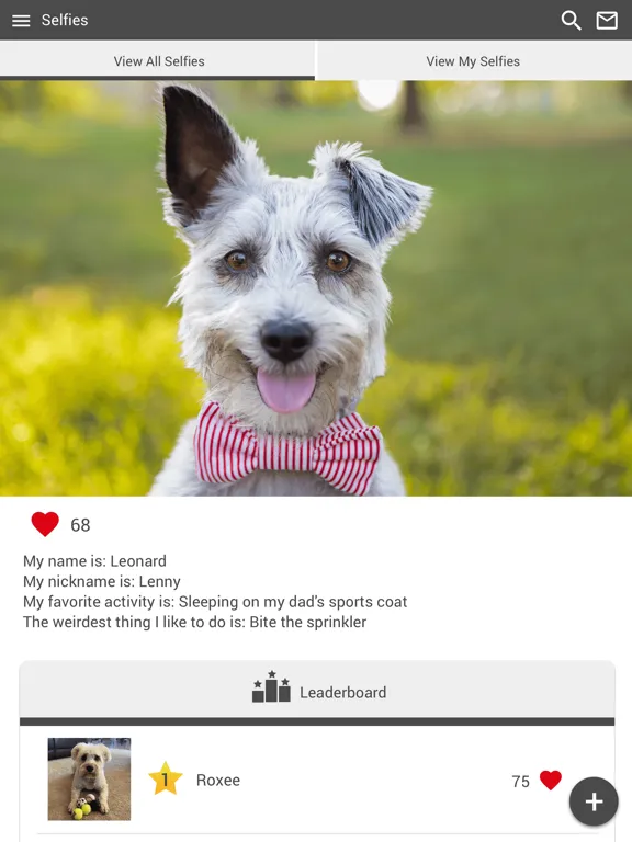 Four Paws AHWC iPad 應用截圖