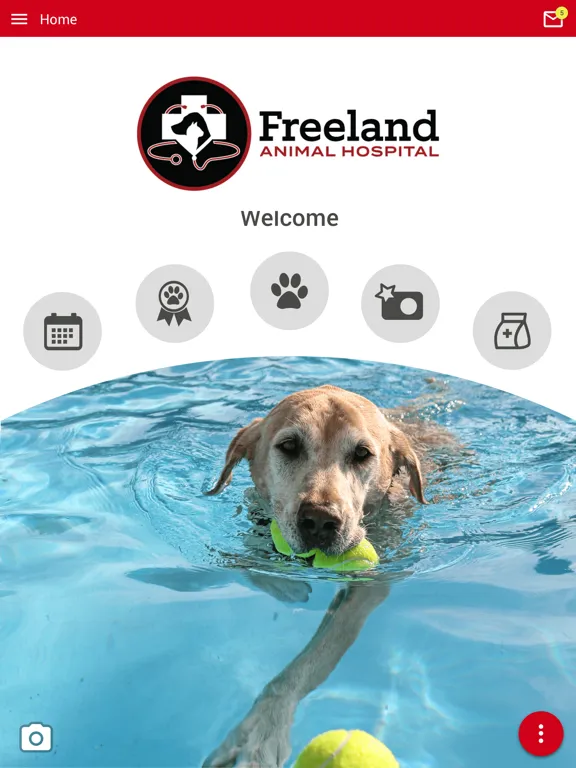 Freeland AH iPad  স্ক্রিনশট