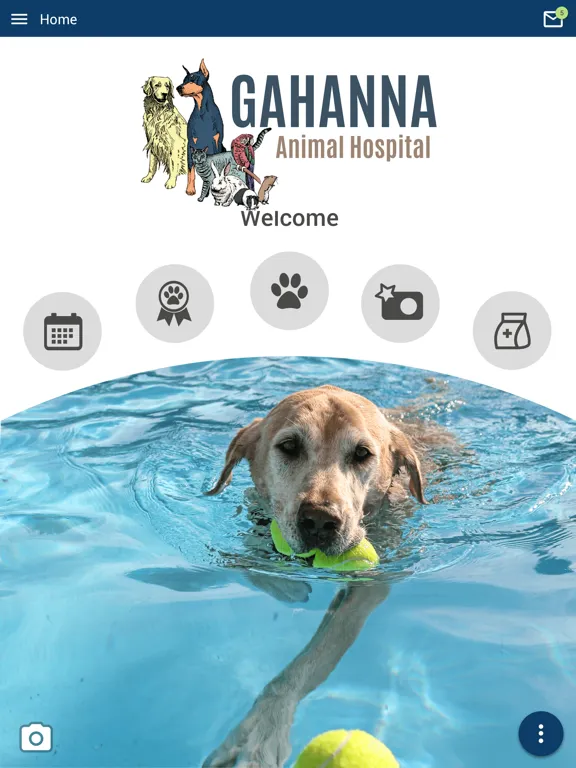 Tangkapan layar Gahanna Animal Hospital iPad 