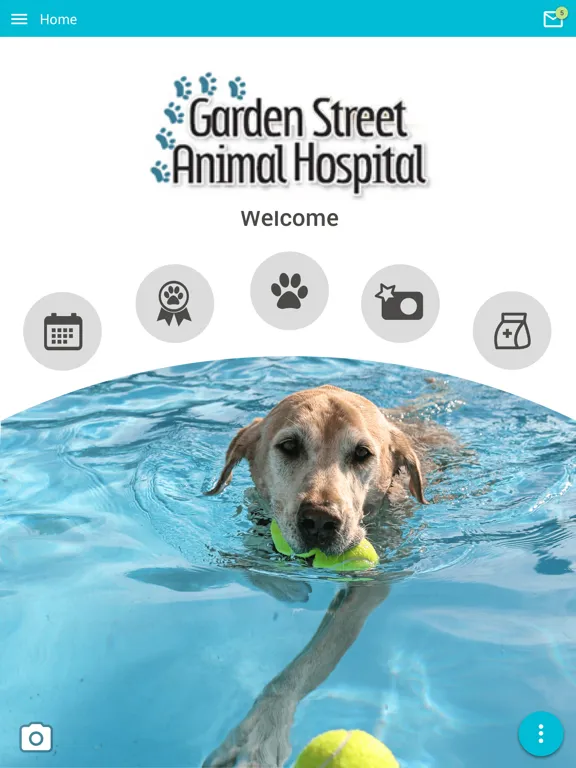Garden Street Vet iPad  스크린샷