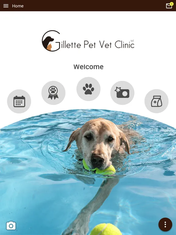 Gillette Pet Vet Clinic iPad  Screenshots