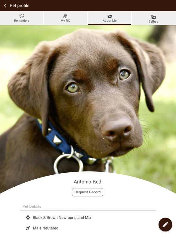 Gillette Pet Vet Clinic iPad  Screenshots
