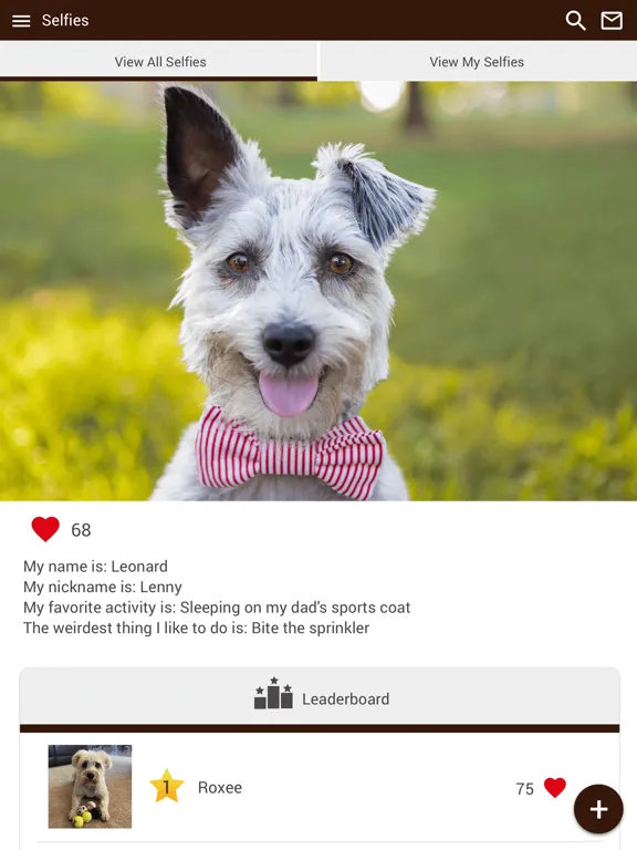 Gillette Pet Vet Clinic iPad  Screenshots