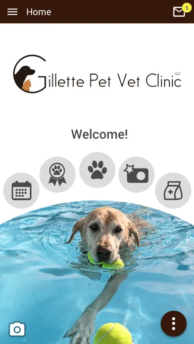 Gillette Pet Vet Clinic Screenshots
