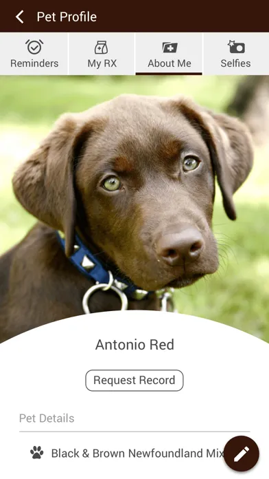 Gillette Pet Vet Clinic Screenshots