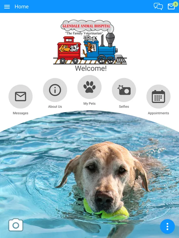 Glendale Animal Hospital iPad  سکرین شاٹس