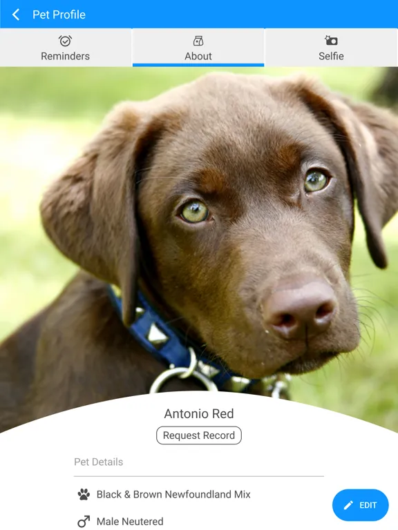 Glendale Animal Hospital iPad  سکرین شاٹس