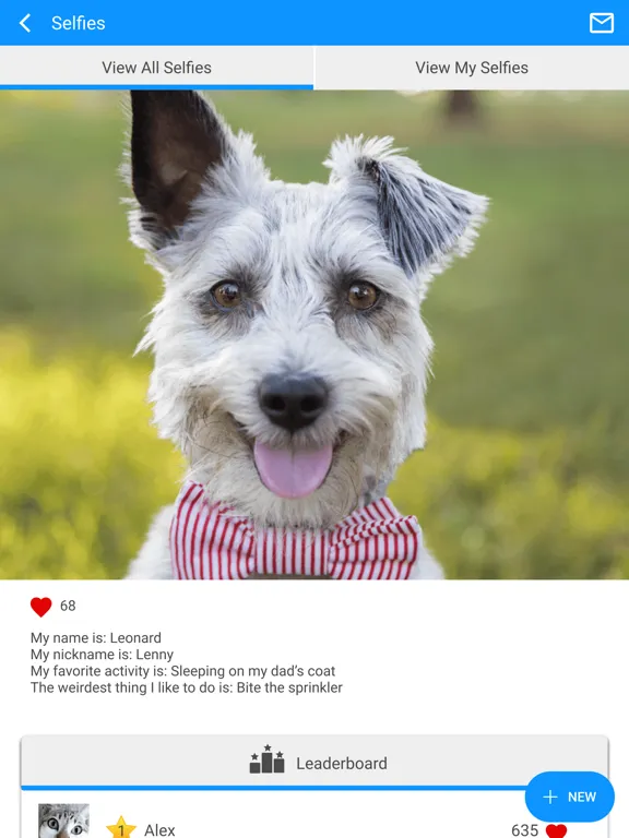 Glendale Animal Hospital iPad  سکرین شاٹس