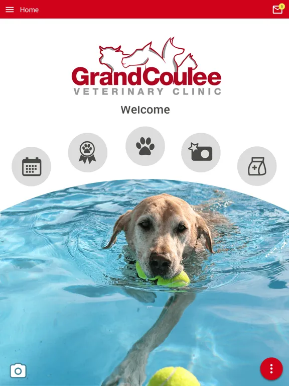 Grand Coulee Vet Clinic iPad 應用截圖