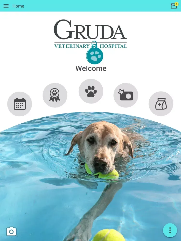 Captures d'écran de Gruda Veterinary Hospital iPad 