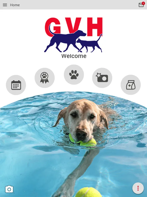 Zrzuty ekranu GVH Vet iPad 