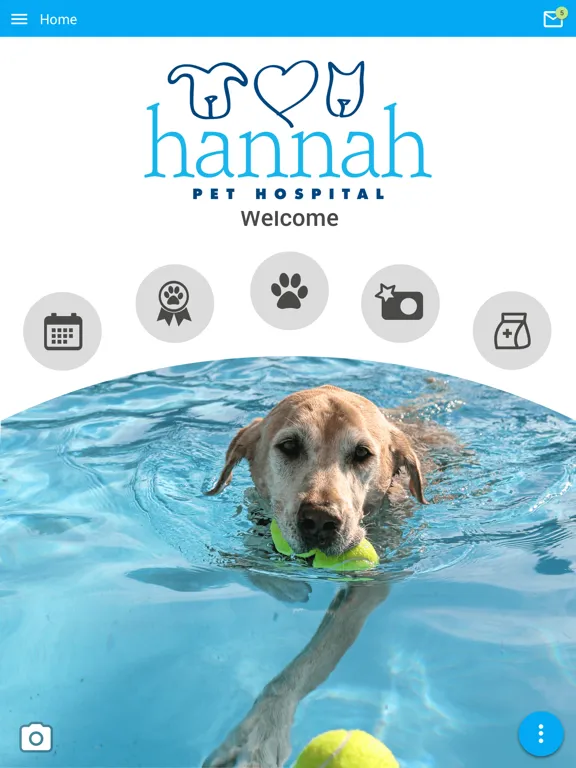 Скриншоты Hannah Pets iPad 