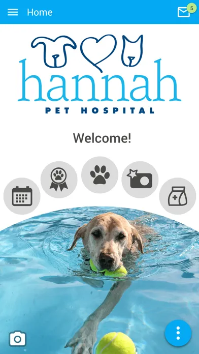 Скриншоты Hannah Pets