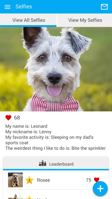 Скриншоты Hannah Pets