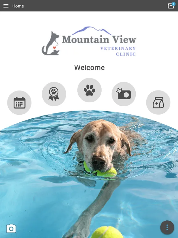 Mountain View Vet Clinic iPad 应用截图