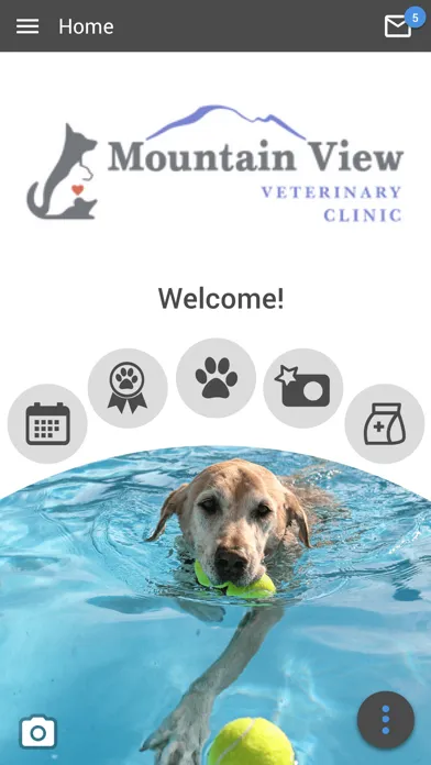 Mountain View Vet Clinic应用截图