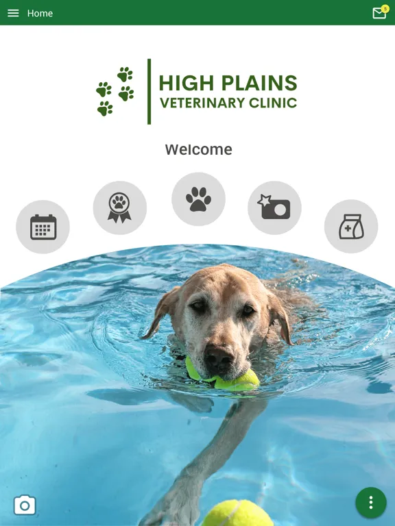 High Plains Vet Amarillo iPad  스크린샷