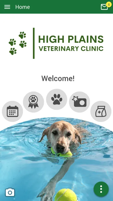 High Plains Vet Amarillo 스크린샷