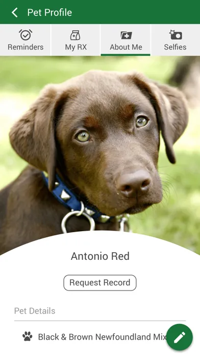 Screenshot di Hope Animal Hospital