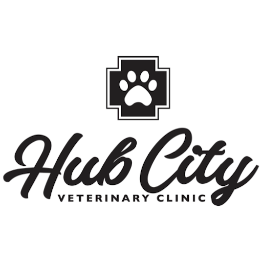 Hub City Vet