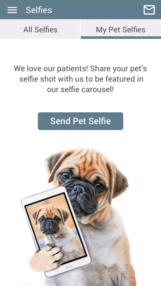 IRAH Pet Connect应用截图