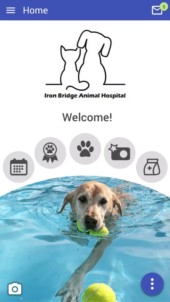 IronBridgeVet Screenshots