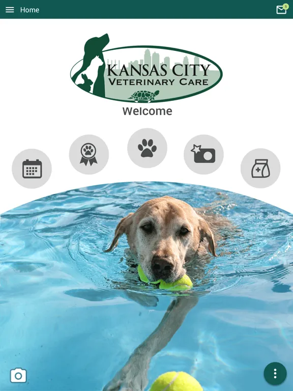 Kansas City Vet Care iPad  Screenshots