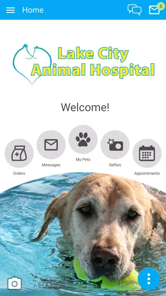 Lake City Animal Hospital Screenshots