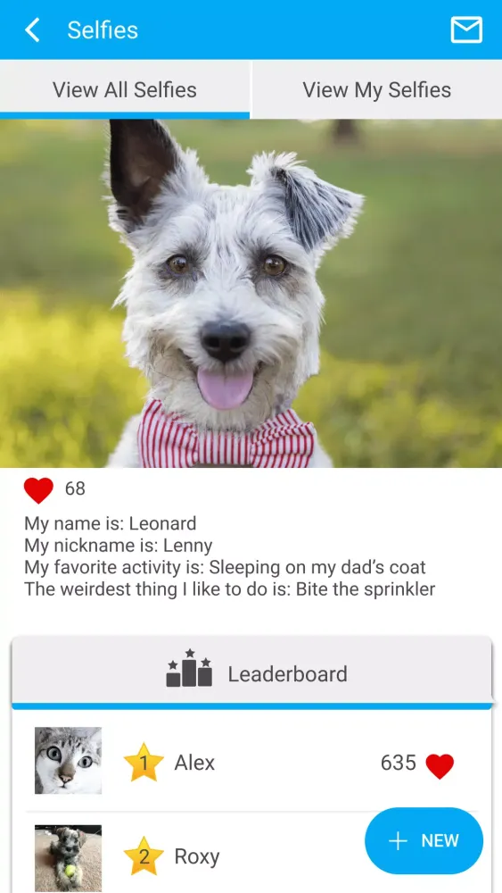 Lake City Animal Hospital Screenshots