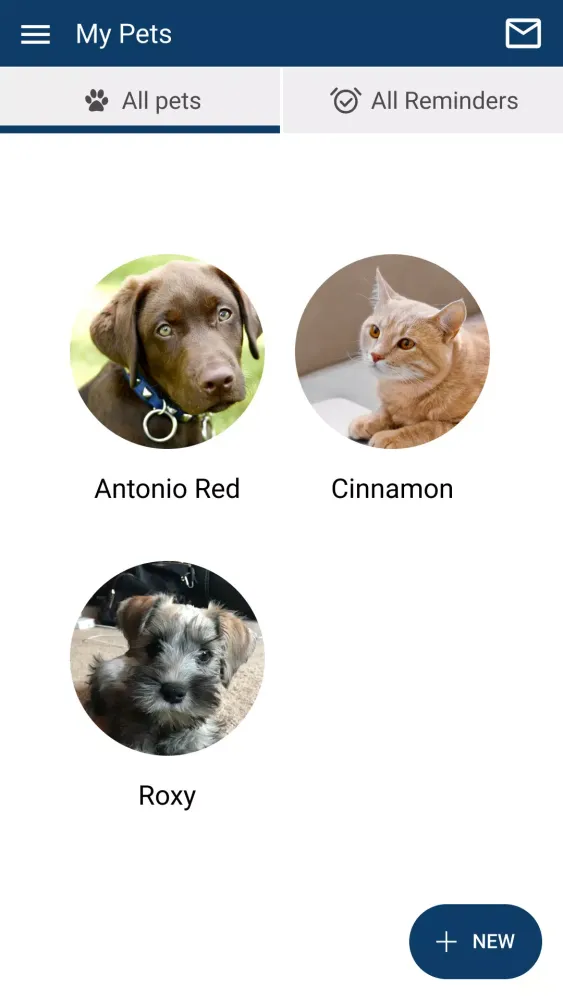 Lake Hartwell Vet Clinic Screenshots