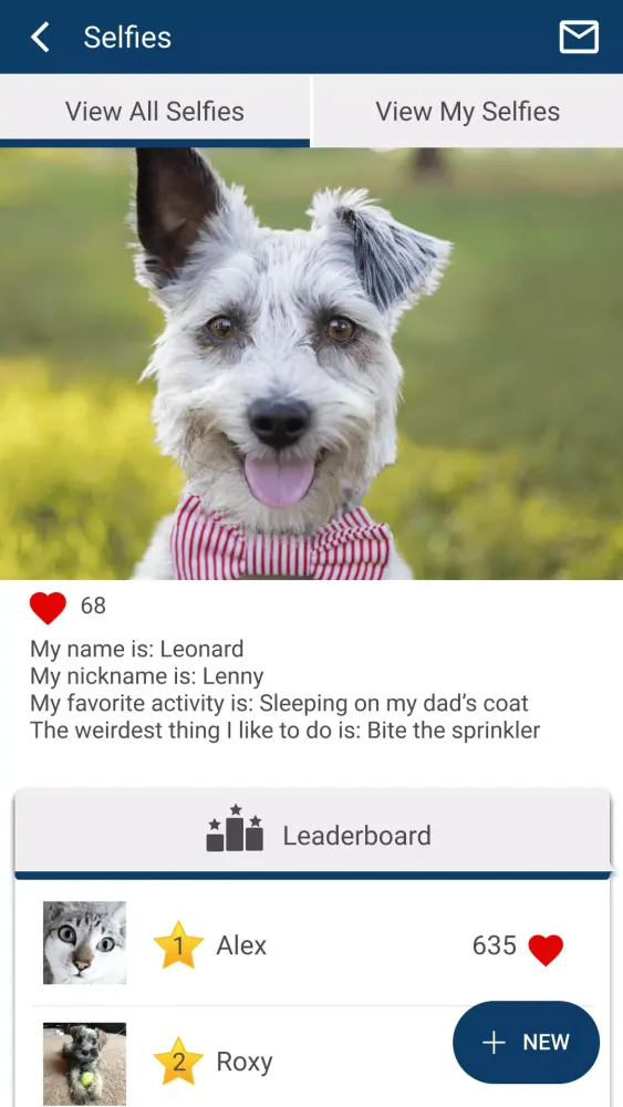 Lake Hartwell Vet Clinic Screenshots