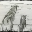 Lake Hartwell Vet Clinic Lake Hartwell Vet Clinic