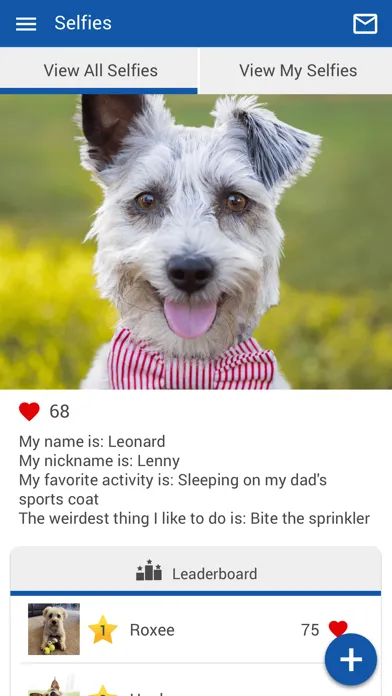 Capturas de tela do Lakeside Animal Hospital NC